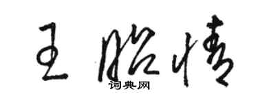 骆恒光王昭情草书个性签名怎么写