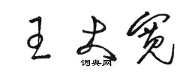 骆恒光王大宽草书个性签名怎么写
