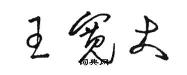 骆恒光王宽大草书个性签名怎么写