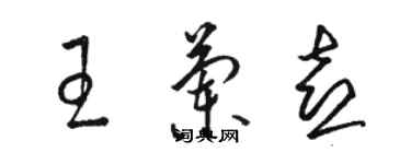 骆恒光王兰喜草书个性签名怎么写