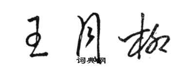 骆恒光王月柳草书个性签名怎么写