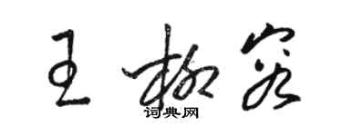骆恒光王柳容草书个性签名怎么写