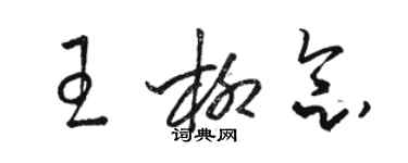 骆恒光王柳念草书个性签名怎么写