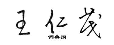 骆恒光王仁茂草书个性签名怎么写