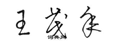 骆恒光王茂年草书个性签名怎么写