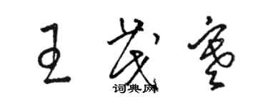 骆恒光王茂寒草书个性签名怎么写