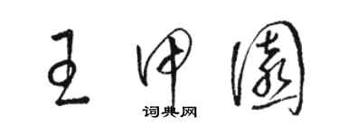 骆恒光王甲园草书个性签名怎么写