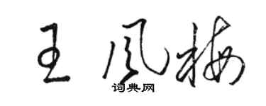 骆恒光王风梅草书个性签名怎么写