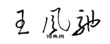 骆恒光王风弛草书个性签名怎么写