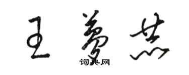 骆恒光王梦赫草书个性签名怎么写