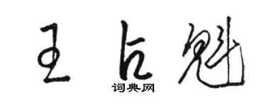 骆恒光王占魁草书个性签名怎么写