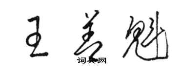 骆恒光王善魁草书个性签名怎么写