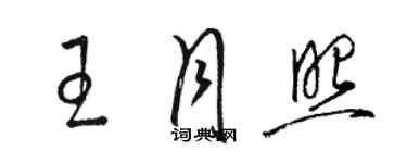 骆恒光王月照草书个性签名怎么写