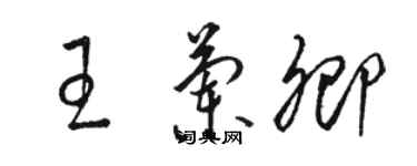 骆恒光王兰卿草书个性签名怎么写