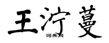 翁闿运王泞蔓楷书个性签名怎么写