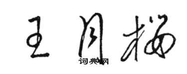 骆恒光王月樱草书个性签名怎么写