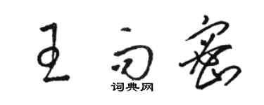 骆恒光王而密草书个性签名怎么写