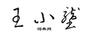 骆恒光王小垄草书个性签名怎么写