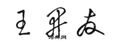骆恒光王开友草书个性签名怎么写