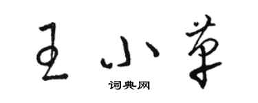 骆恒光王小革草书个性签名怎么写