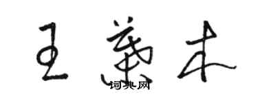 骆恒光王叶木草书个性签名怎么写