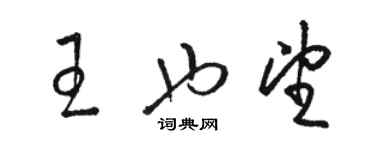 骆恒光王也望草书个性签名怎么写