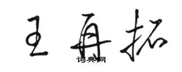 骆恒光王再拓草书个性签名怎么写