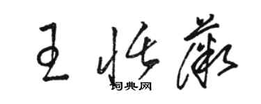 骆恒光王恬薇草书个性签名怎么写