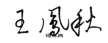 骆恒光王凤秋草书个性签名怎么写