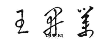骆恒光王开业草书个性签名怎么写