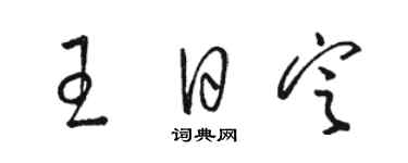 骆恒光王日定草书个性签名怎么写