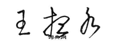 骆恒光王想水草书个性签名怎么写