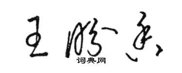 骆恒光王盼香草书个性签名怎么写