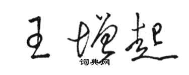 骆恒光王增起草书个性签名怎么写