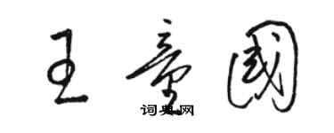 骆恒光王童国草书个性签名怎么写
