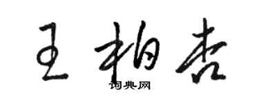 骆恒光王柏杏草书个性签名怎么写