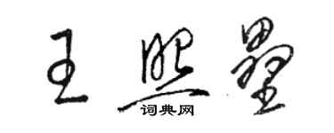 骆恒光王照垒草书个性签名怎么写