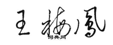 骆恒光王梅凤草书个性签名怎么写