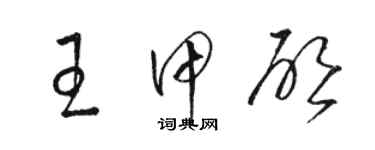 骆恒光王甲启草书个性签名怎么写