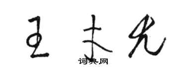 骆恒光王才尤草书个性签名怎么写