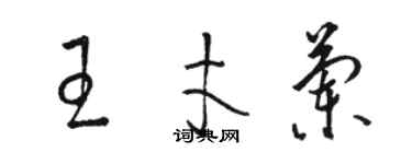 骆恒光王才兰草书个性签名怎么写