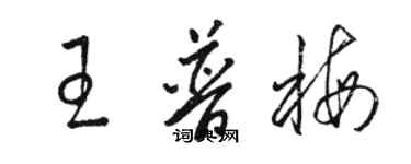骆恒光王普梅草书个性签名怎么写