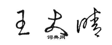 骆恒光王大晴草书个性签名怎么写