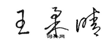 骆恒光王柔晴草书个性签名怎么写
