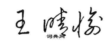 骆恒光王晴愉草书个性签名怎么写