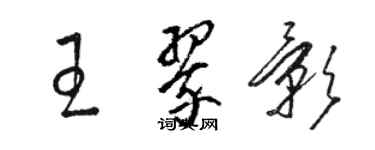 骆恒光王翠影草书个性签名怎么写