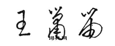 骆恒光王箫笛草书个性签名怎么写