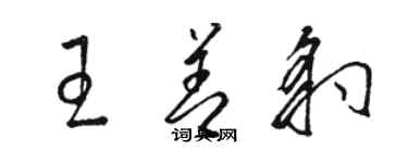 骆恒光王善豹草书个性签名怎么写