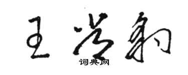 骆恒光王常豹草书个性签名怎么写