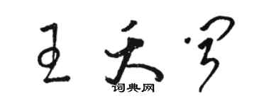 骆恒光王夭闻草书个性签名怎么写